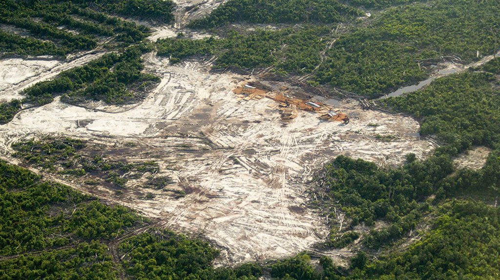 Vista aérea de deforestación en Tamshiyacu (Loreto). Foto: Convoca.pe/ Stefany Aquise.